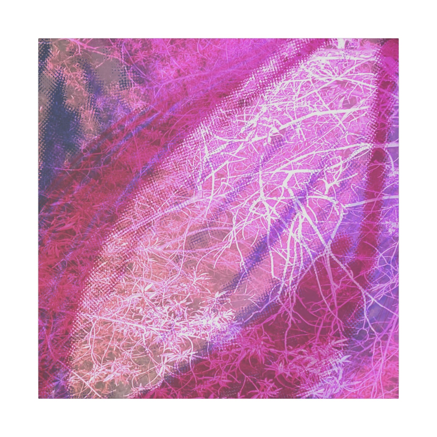 Bloom Canvas