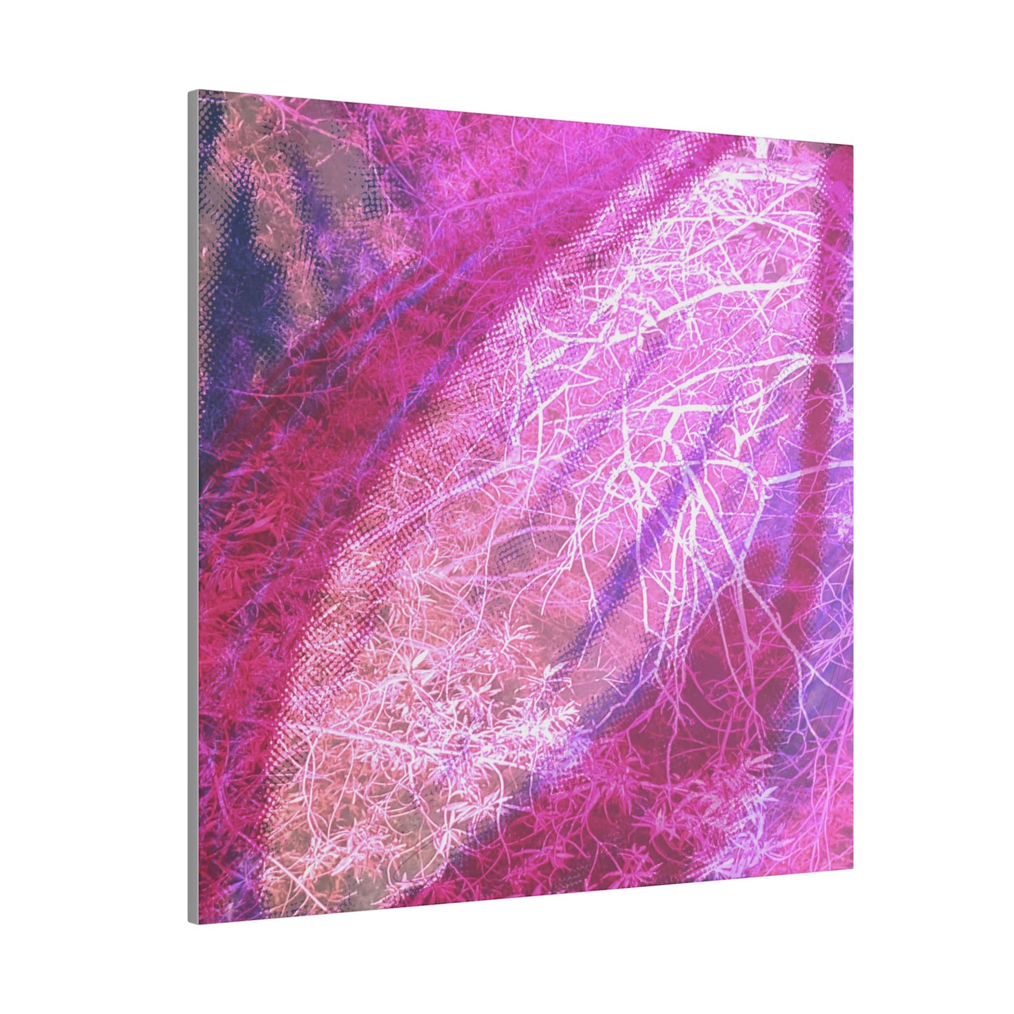 Bloom Canvas