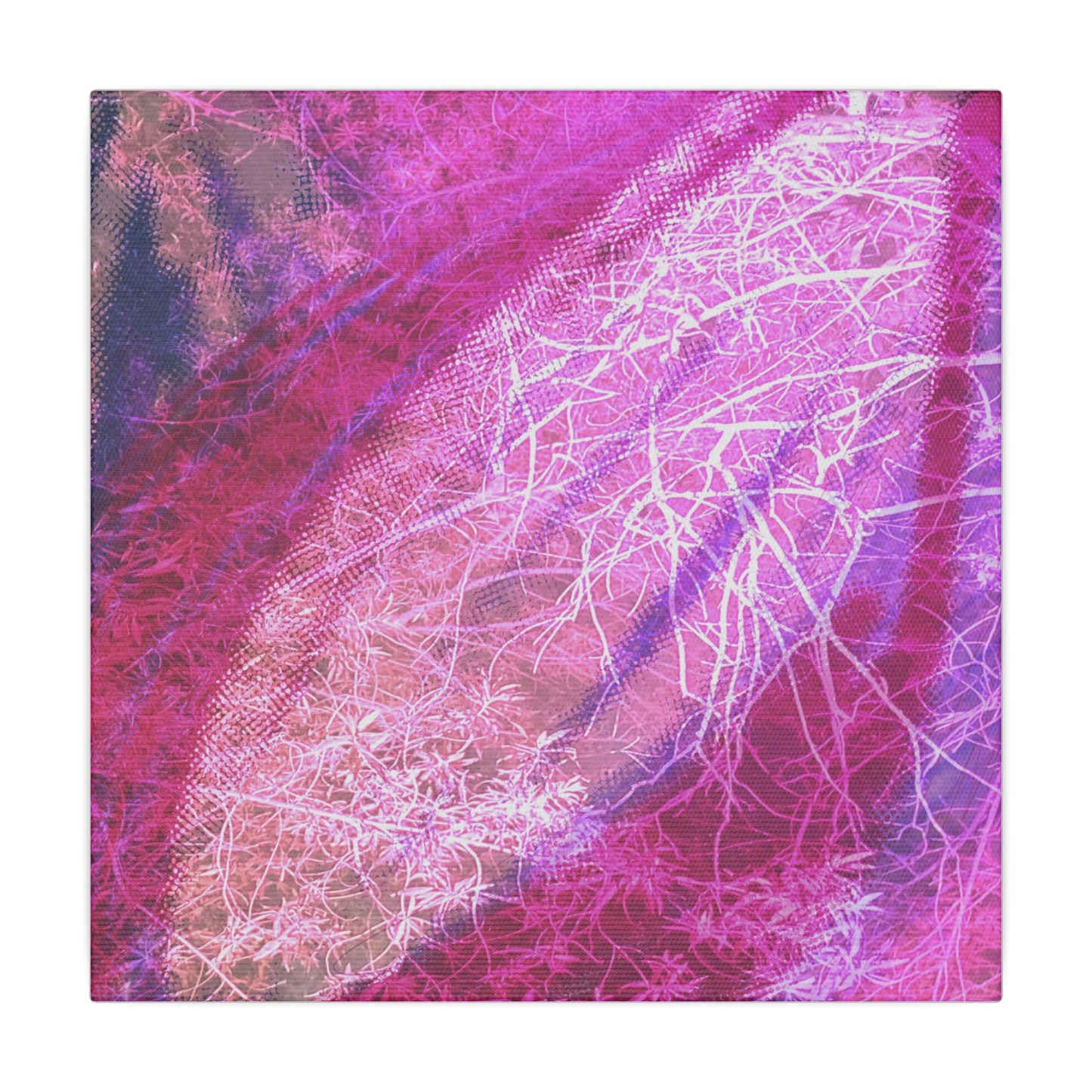 Bloom Canvas