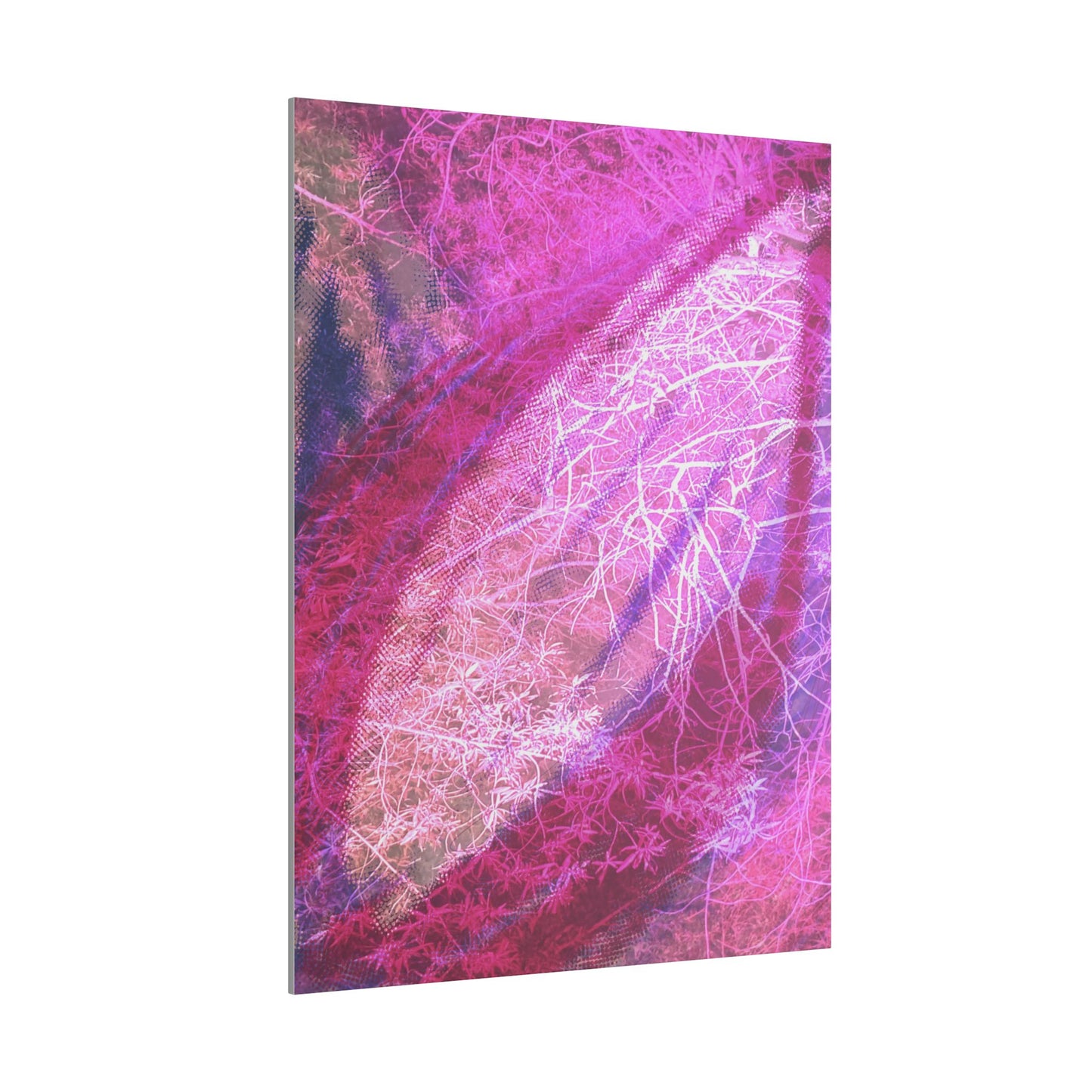 Bloom Canvas