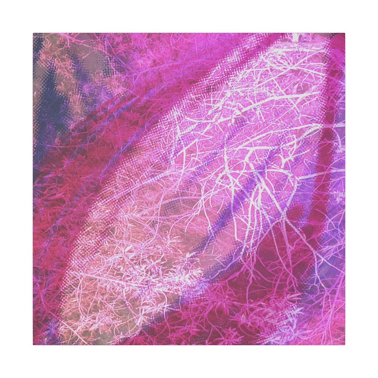 Bloom Canvas