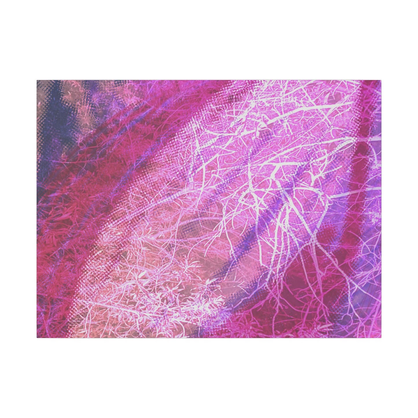 Bloom Canvas