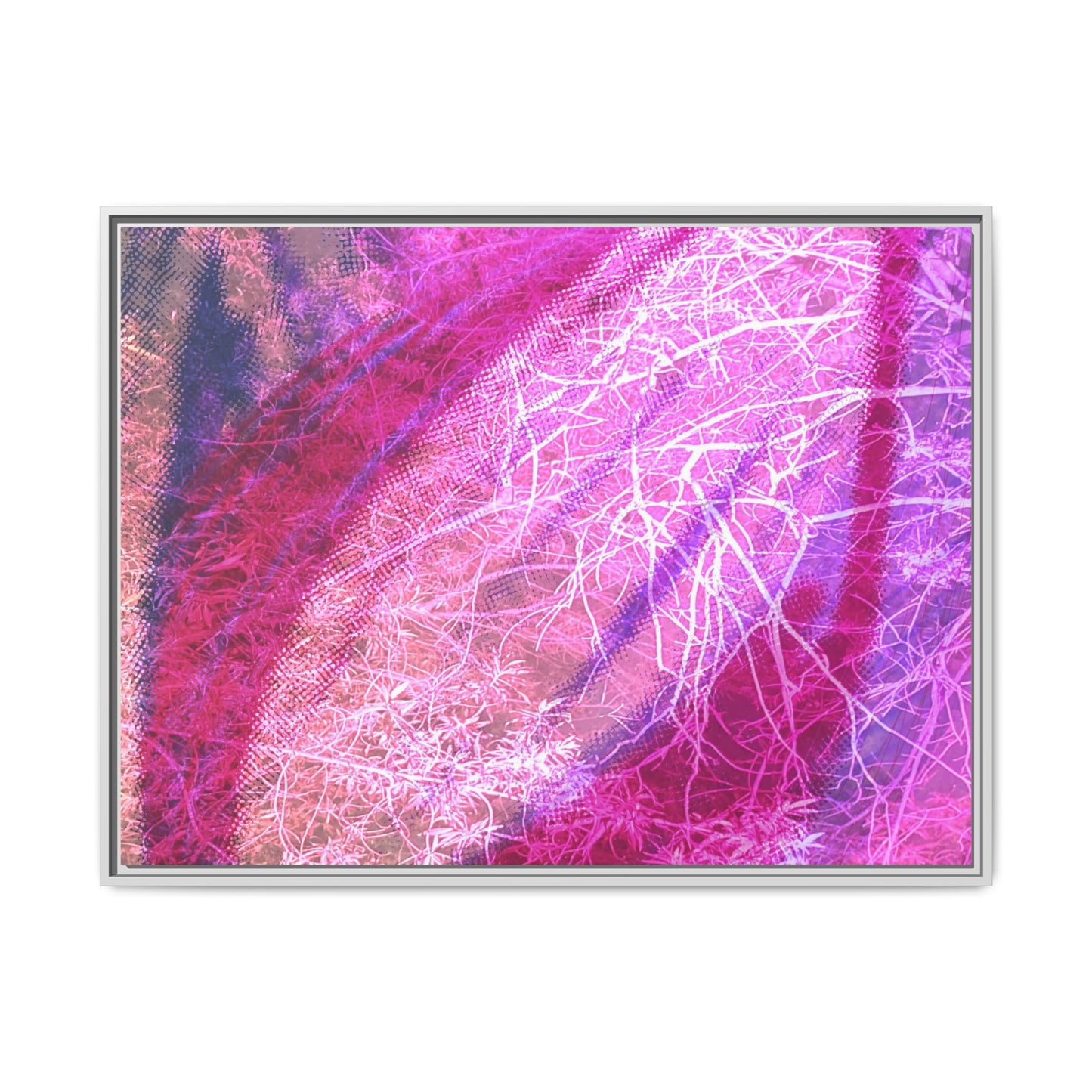 Bloom Framed Canvas Art