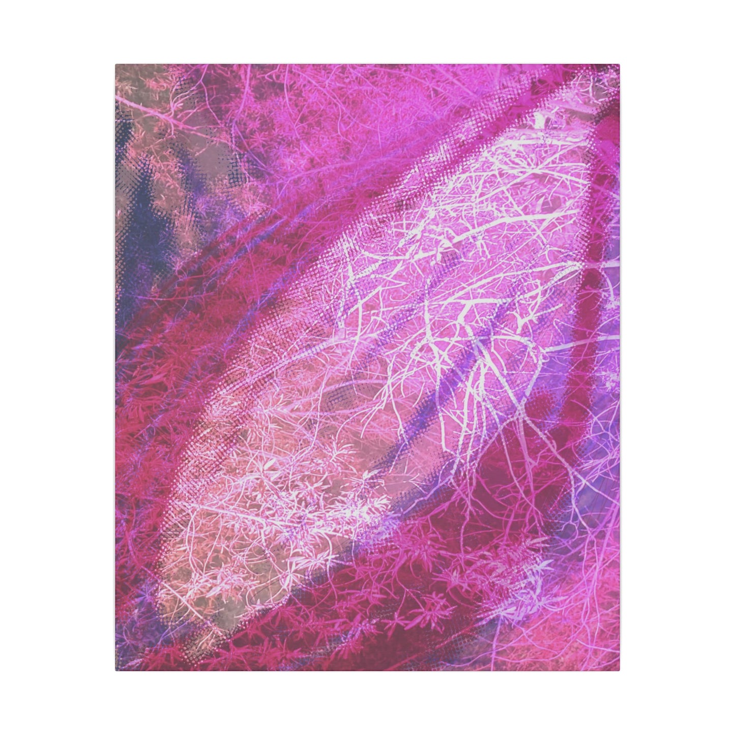 Bloom Canvas