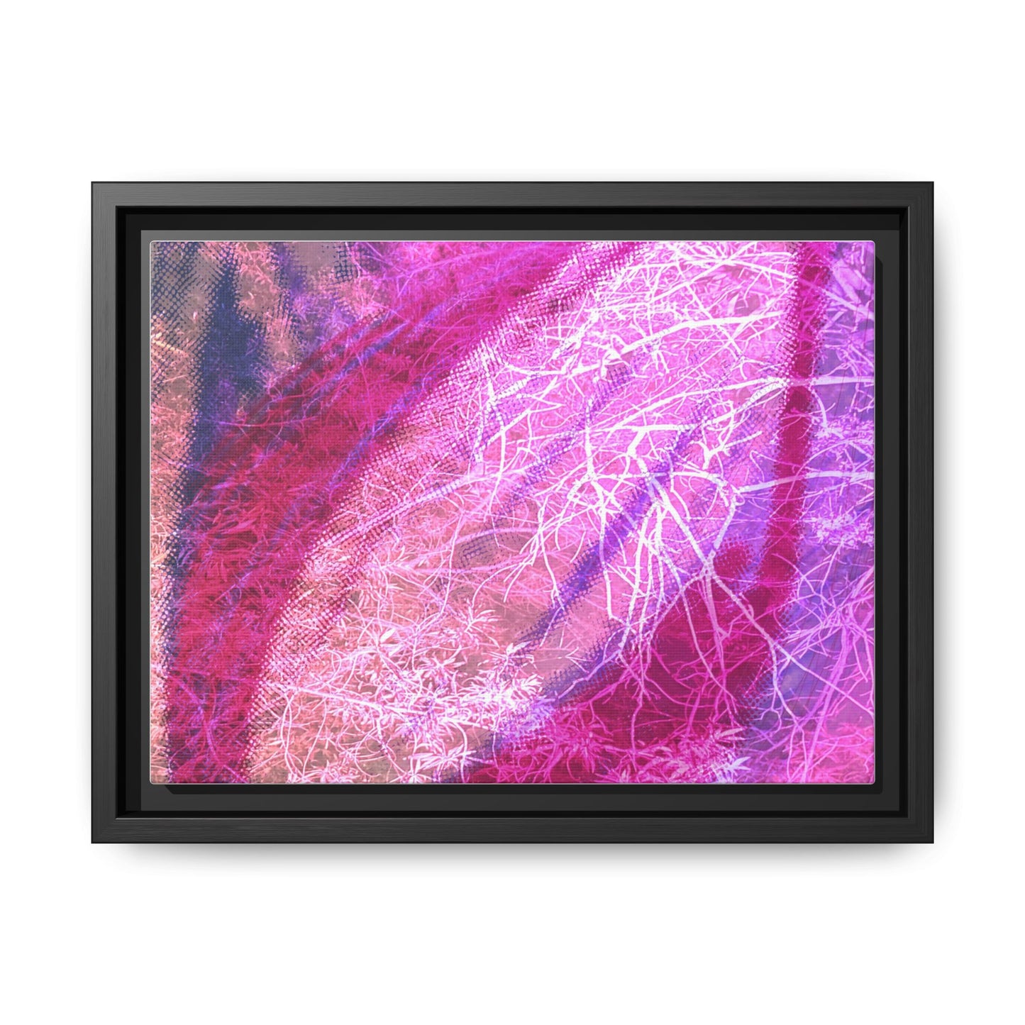 Bloom Framed Canvas Art