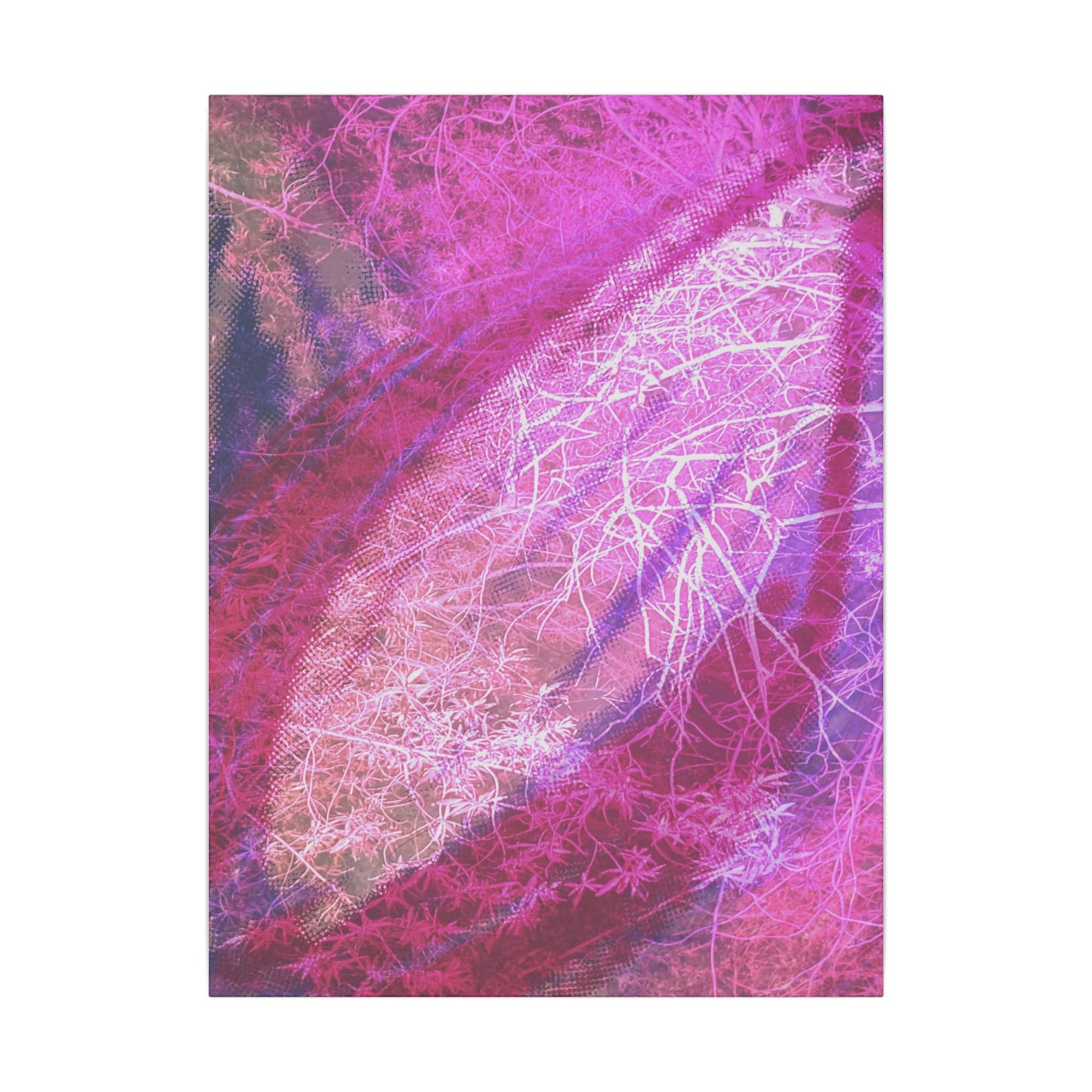 Bloom Canvas