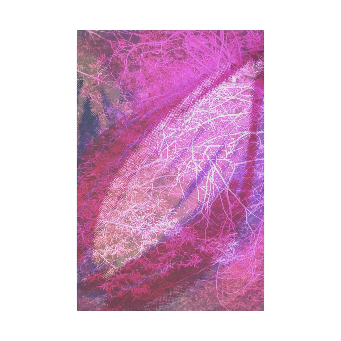 Bloom Canvas