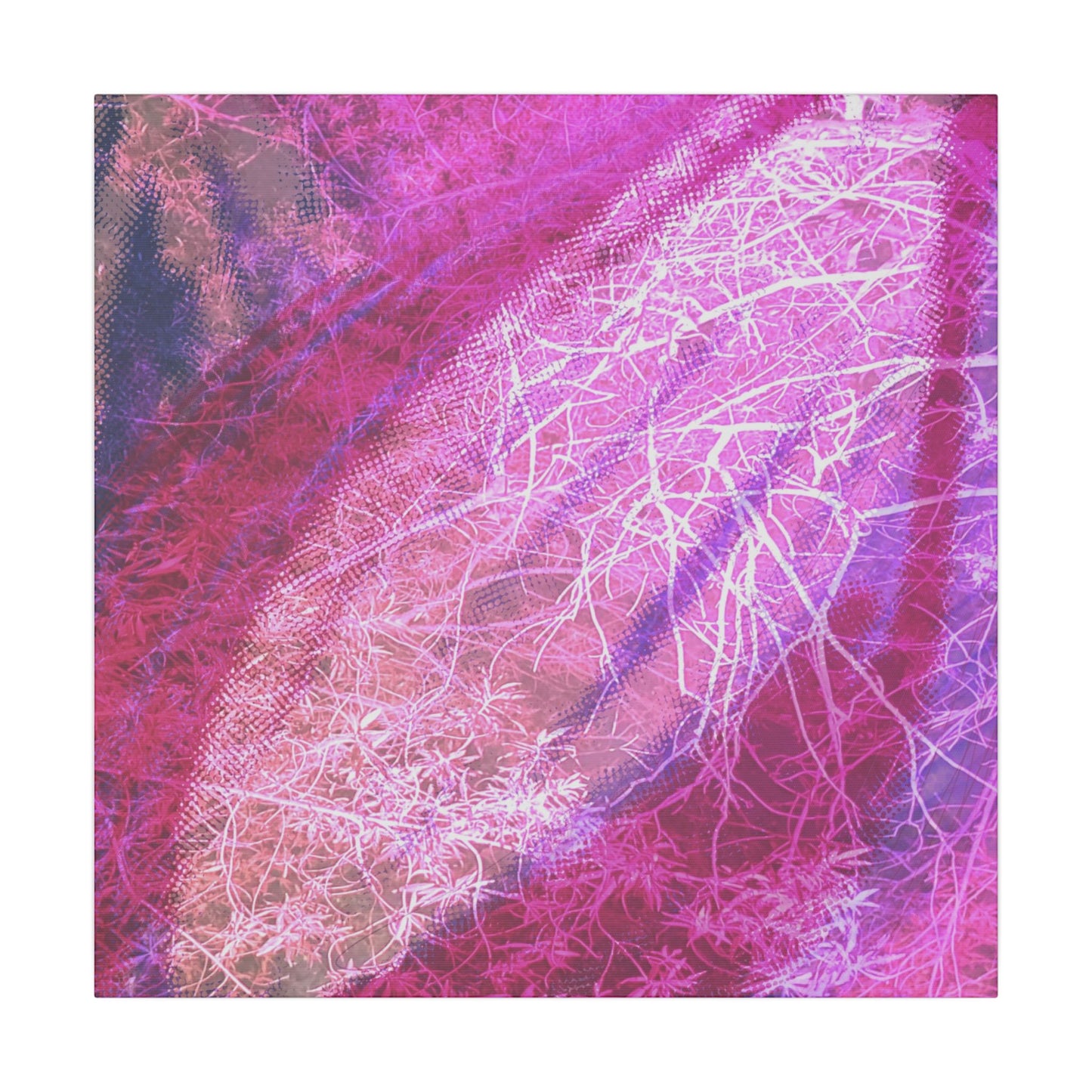 Bloom Canvas