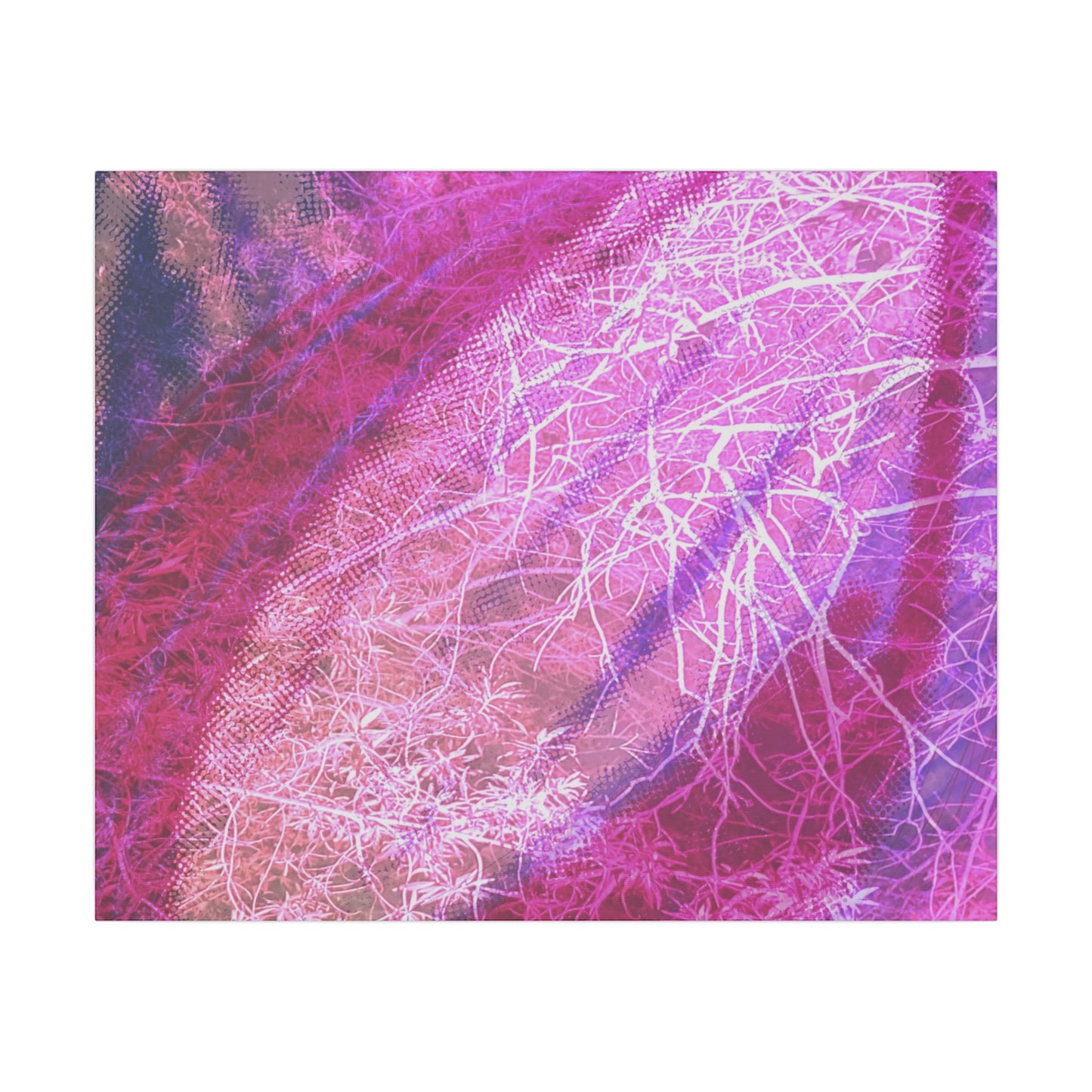 Bloom Canvas