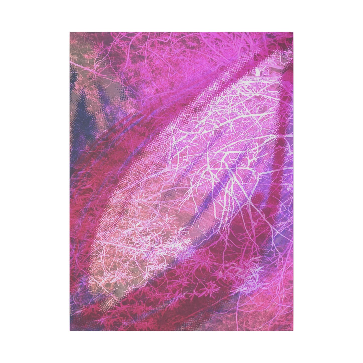 Bloom Canvas