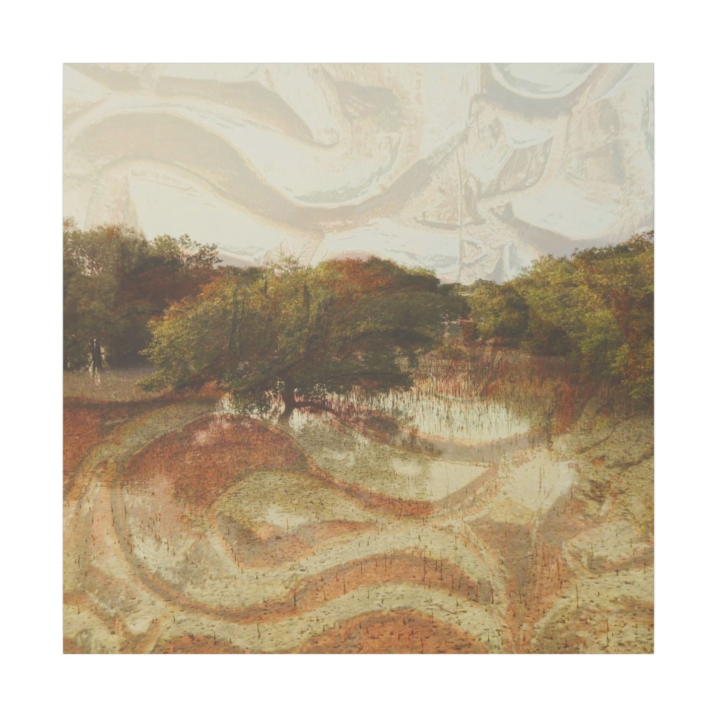 Serene Mangroves Canvas