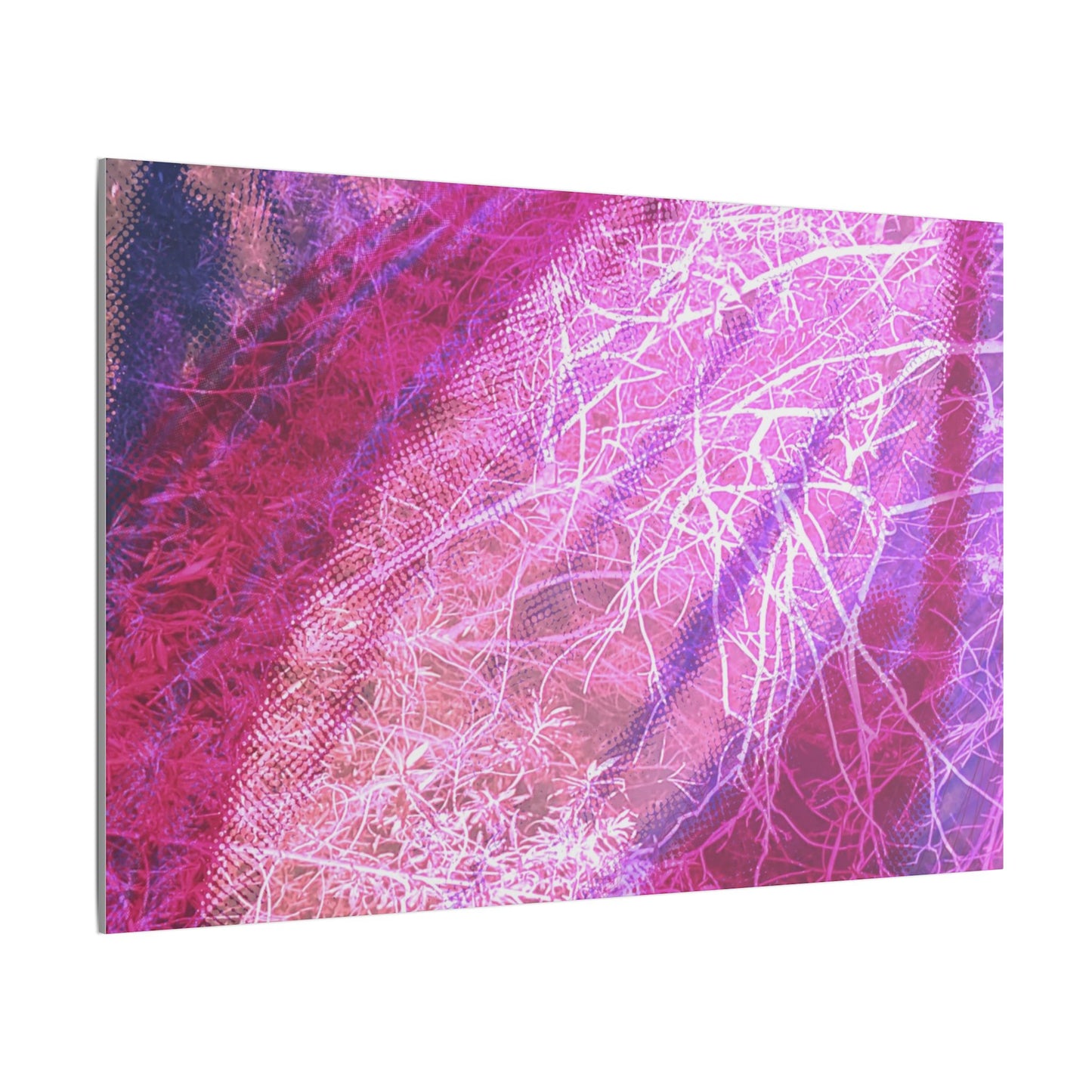 Bloom Canvas