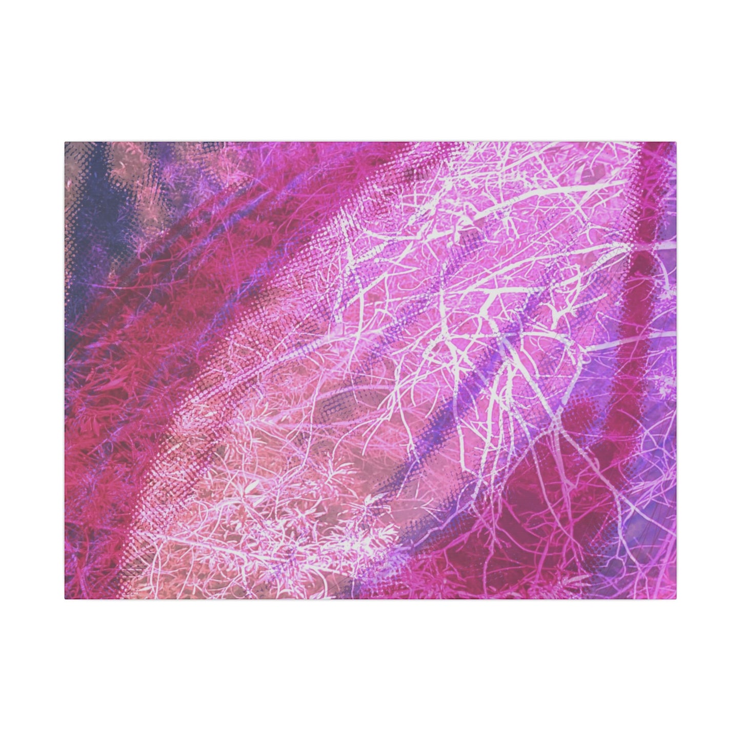 Bloom Canvas