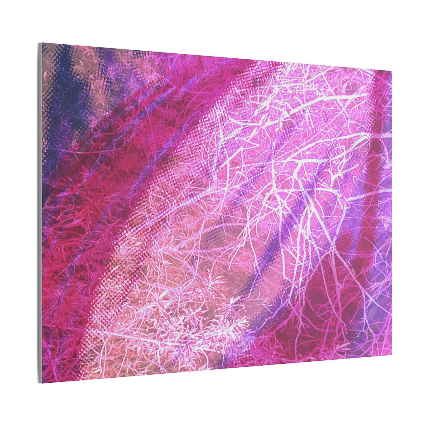 Bloom Canvas