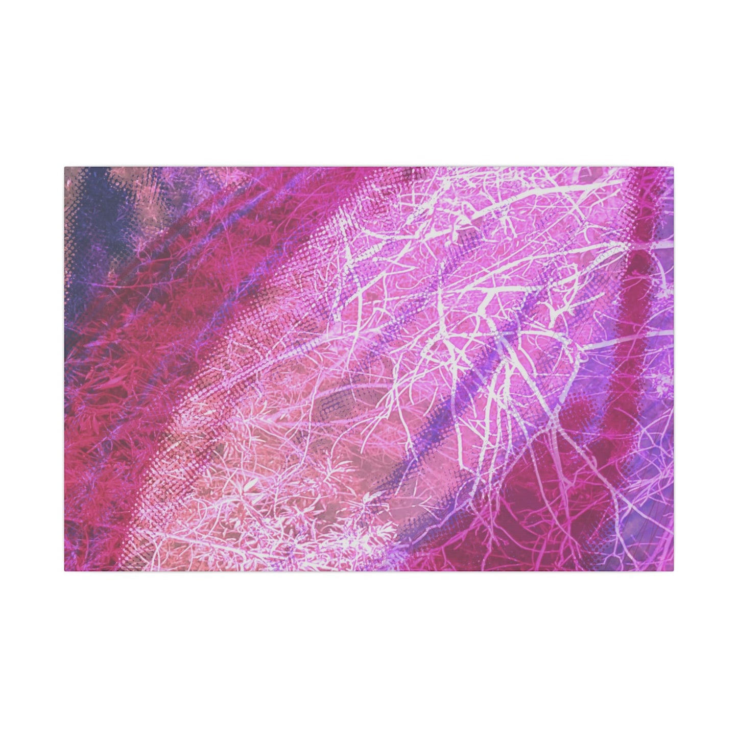 Bloom Canvas
