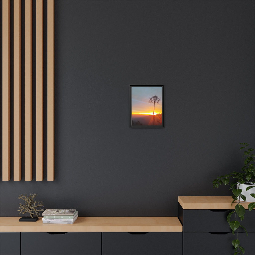 'A Root Light'  Framed Canvas Art