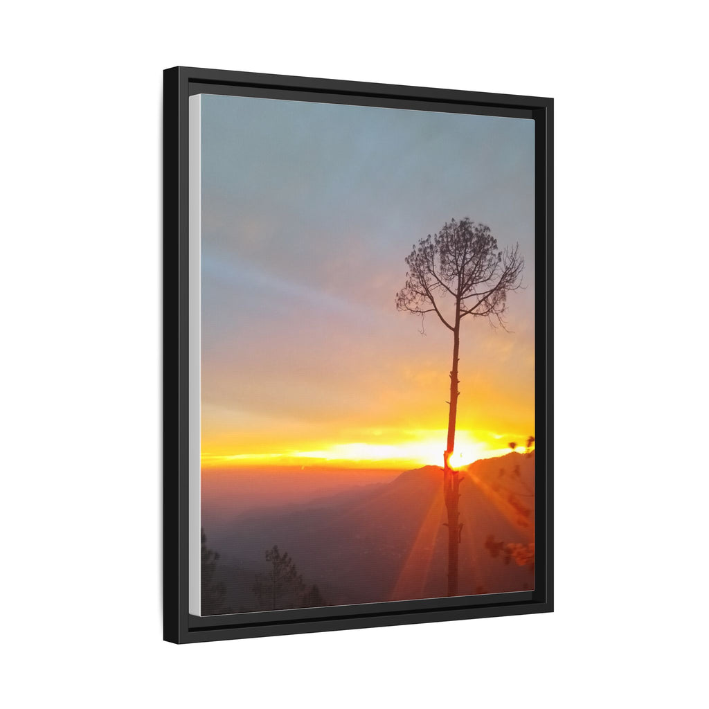 'A Root Light'  Framed Canvas Art