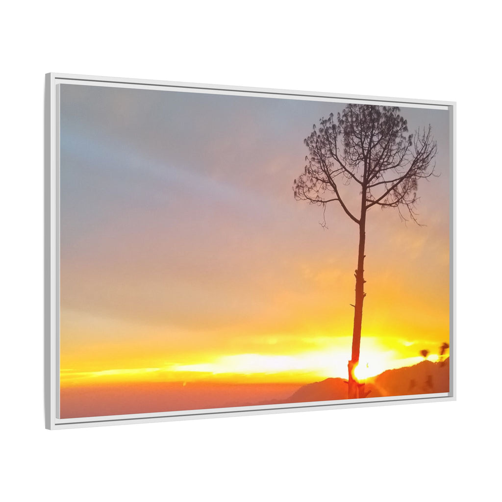 'A Root Light'  Framed Canvas Art
