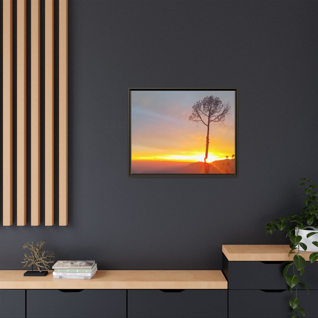 'A Root Light'  Framed Canvas Art