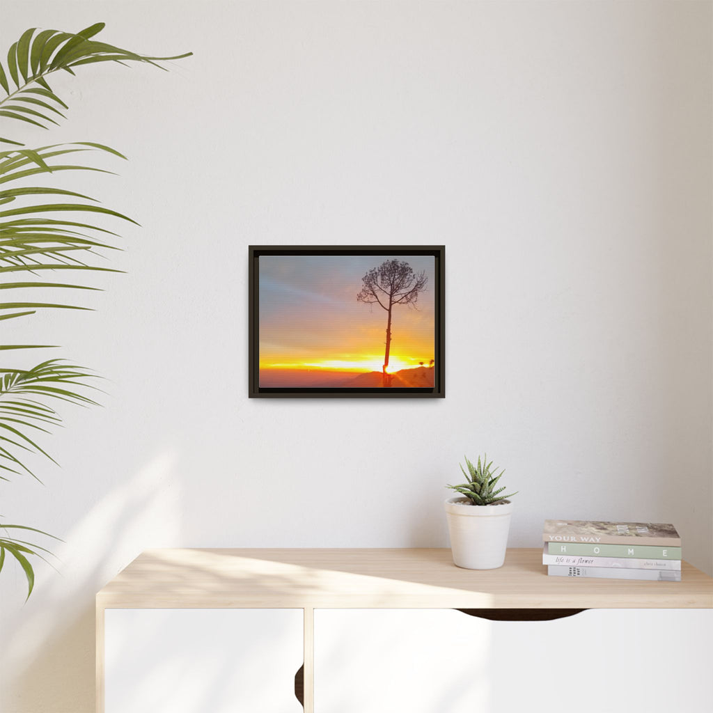 'A Root Light'  Framed Canvas Art