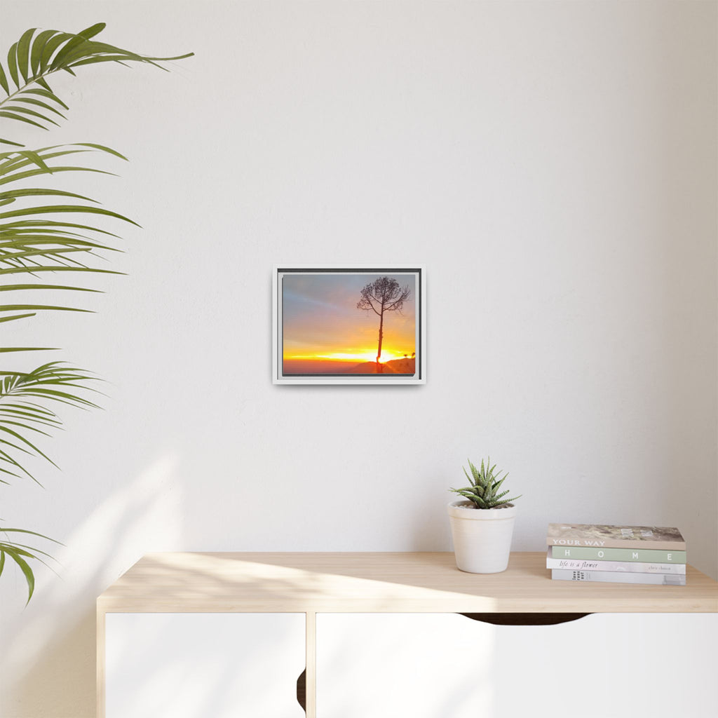 'A Root Light'  Framed Canvas Art