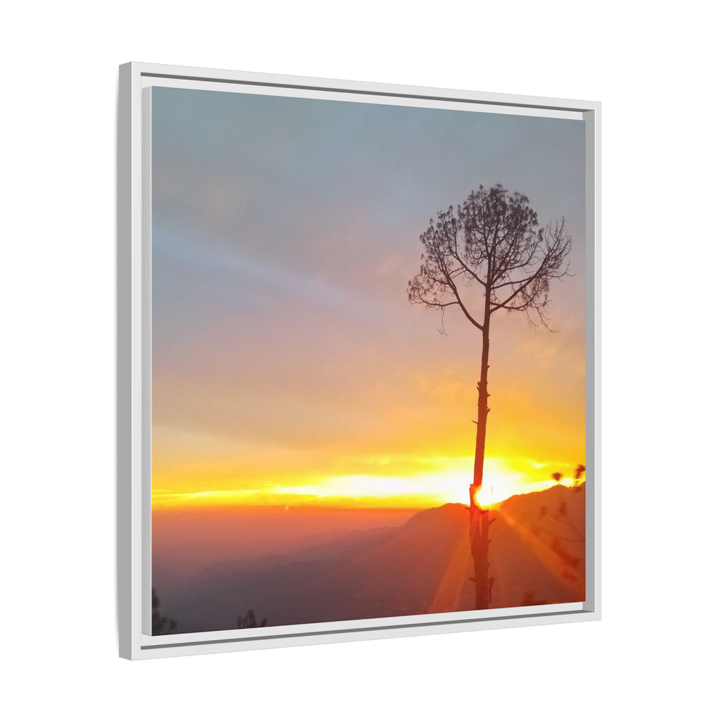 'A Root Light'  Framed Canvas Art
