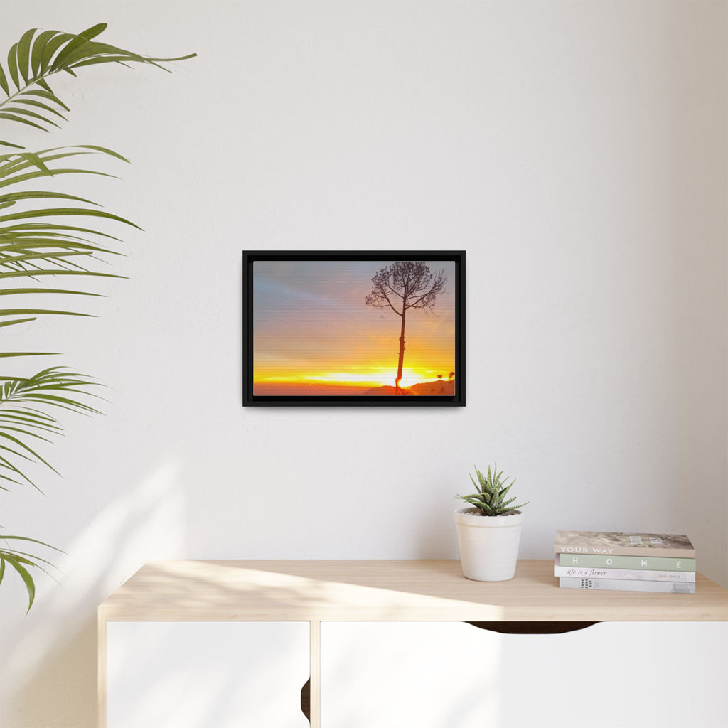 'A Root Light'  Framed Canvas Art