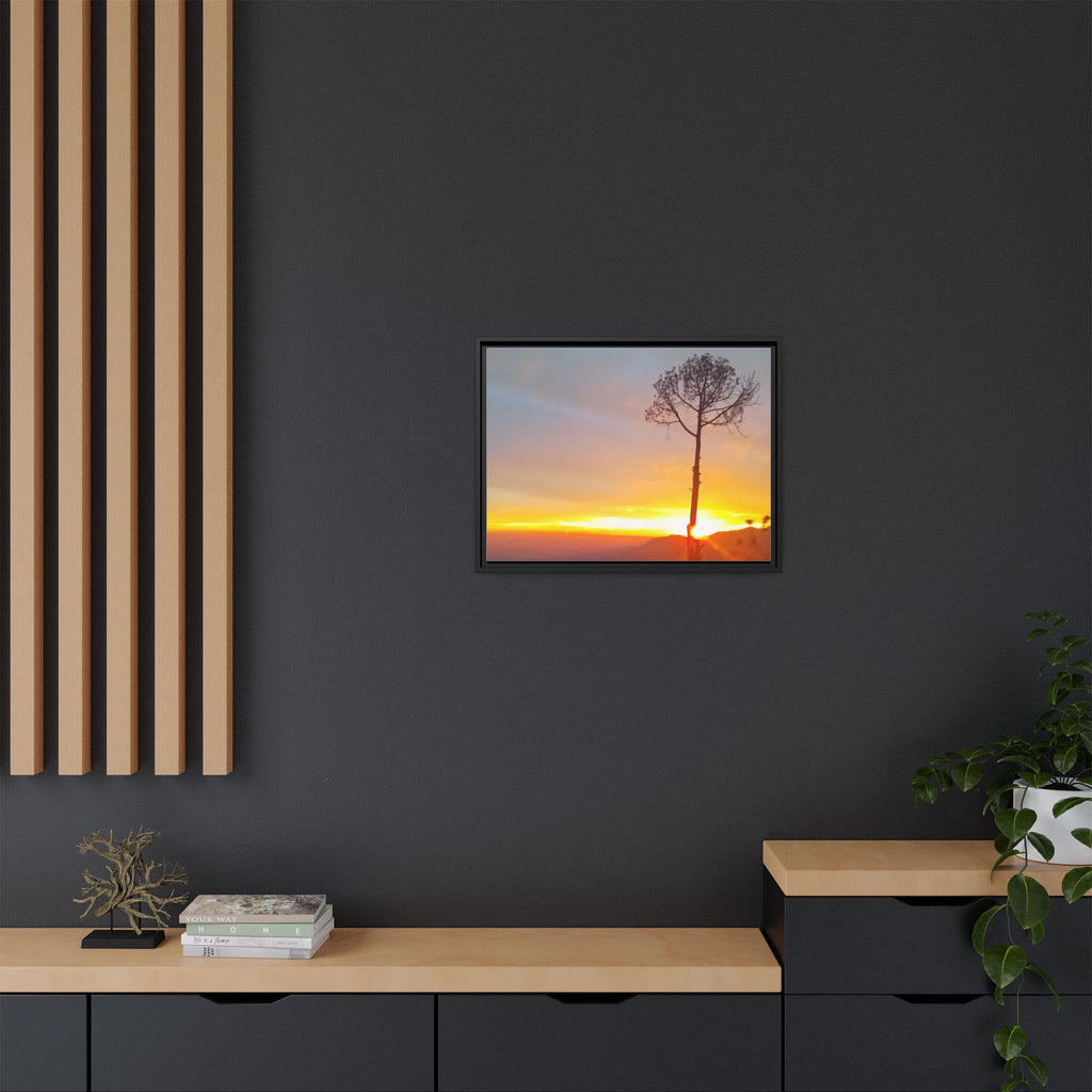 'A Root Light'  Framed Canvas Art