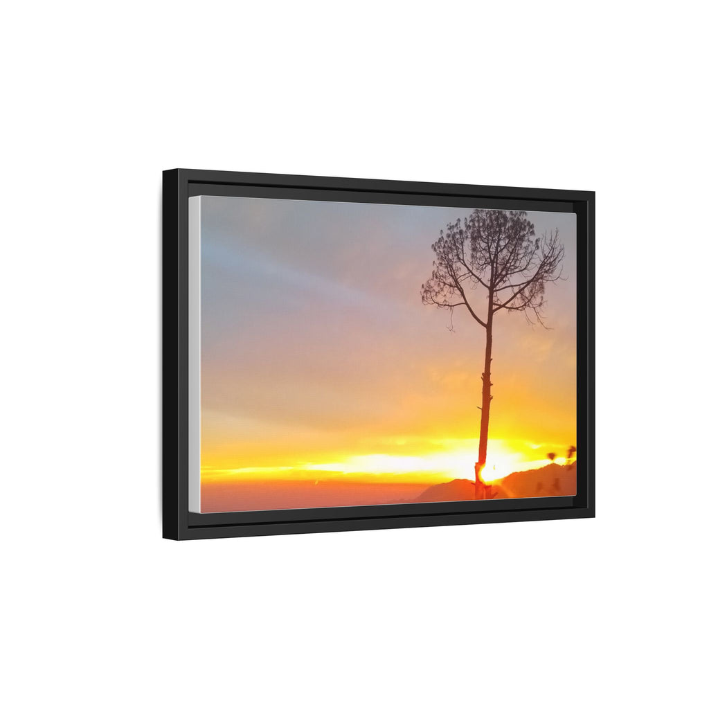 'A Root Light'  Framed Canvas Art