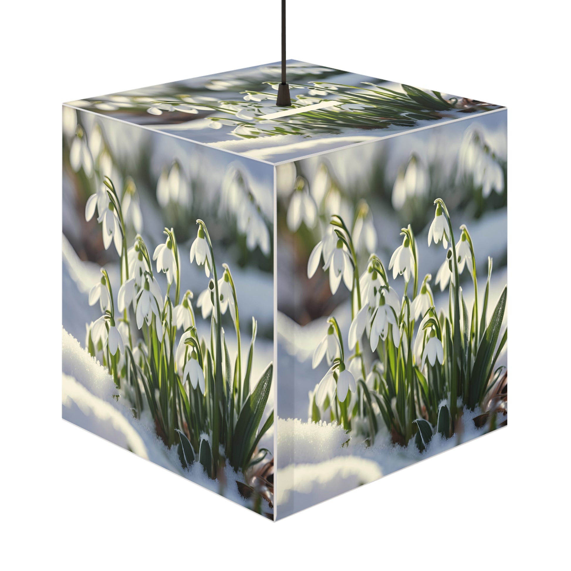 Snowdrops Light Cube Lamp Box