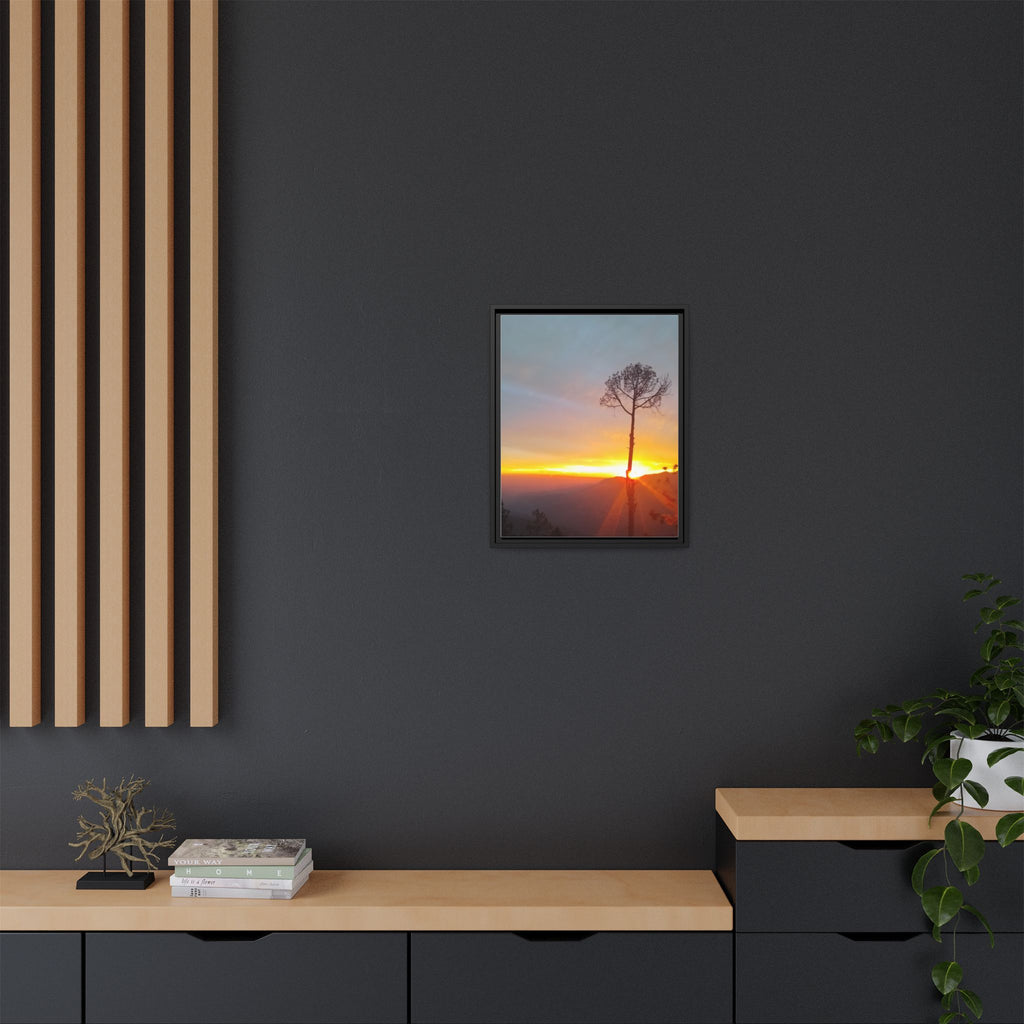 'A Root Light'  Framed Canvas Art