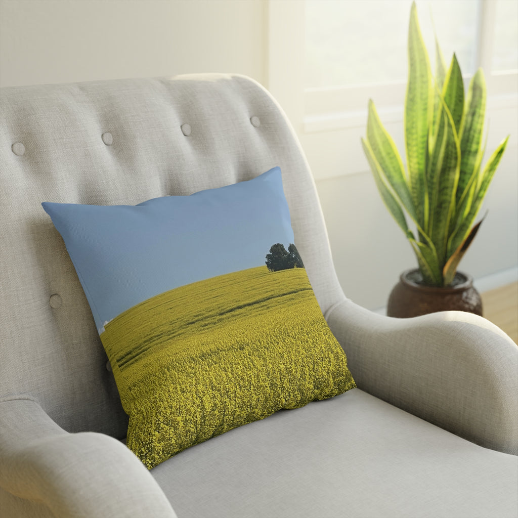 Sage Godrei x Neurodivergent Synergy Pillow 1