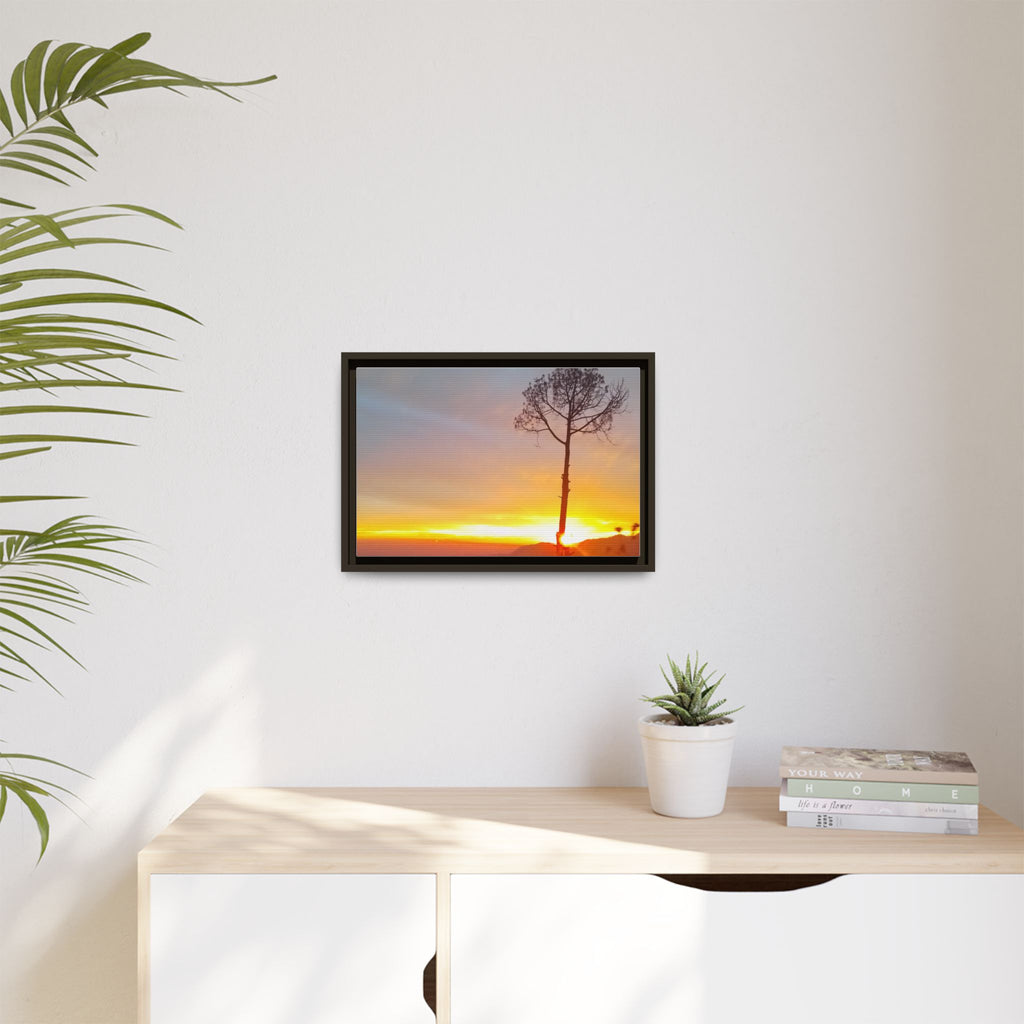 'A Root Light'  Framed Canvas Art
