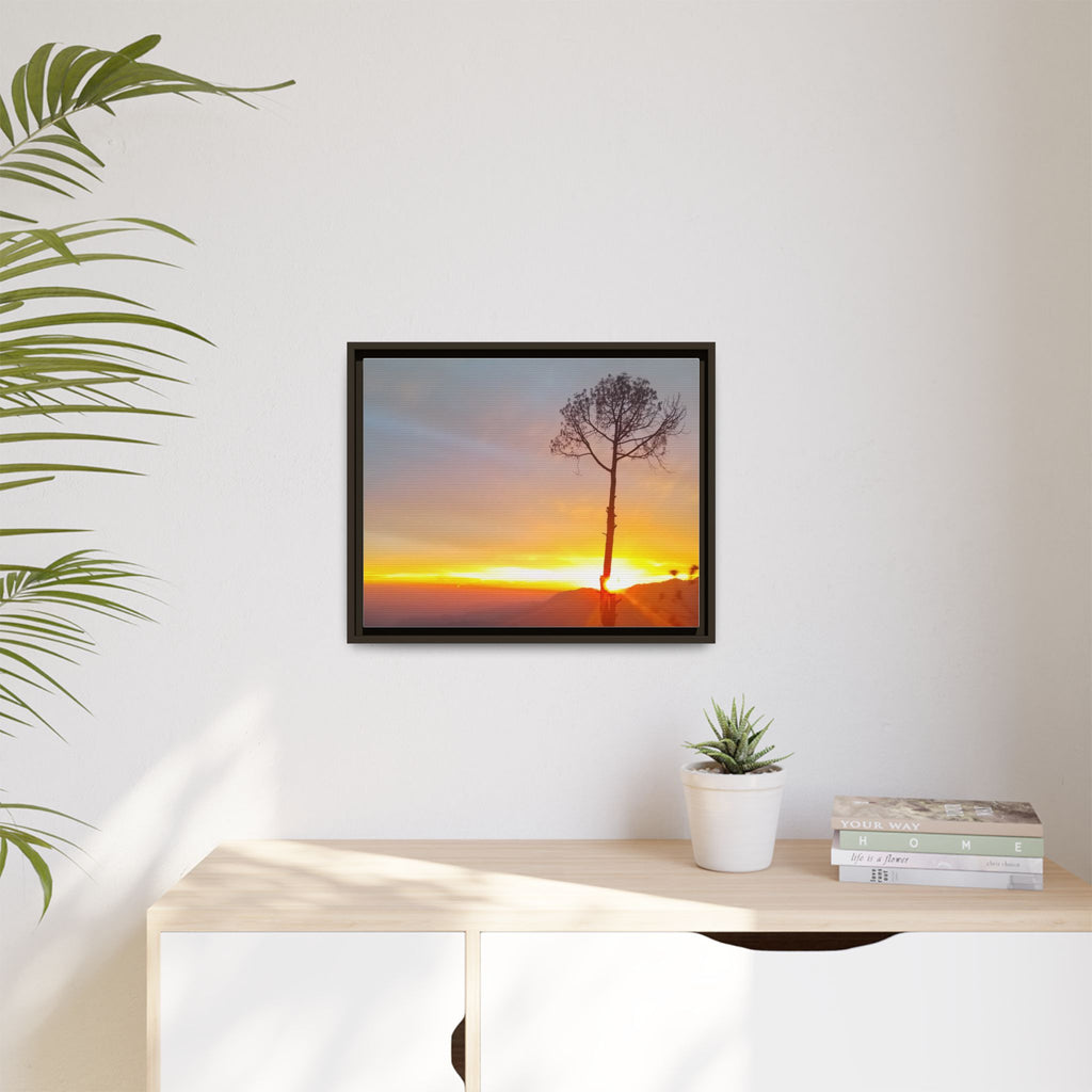 'A Root Light'  Framed Canvas Art