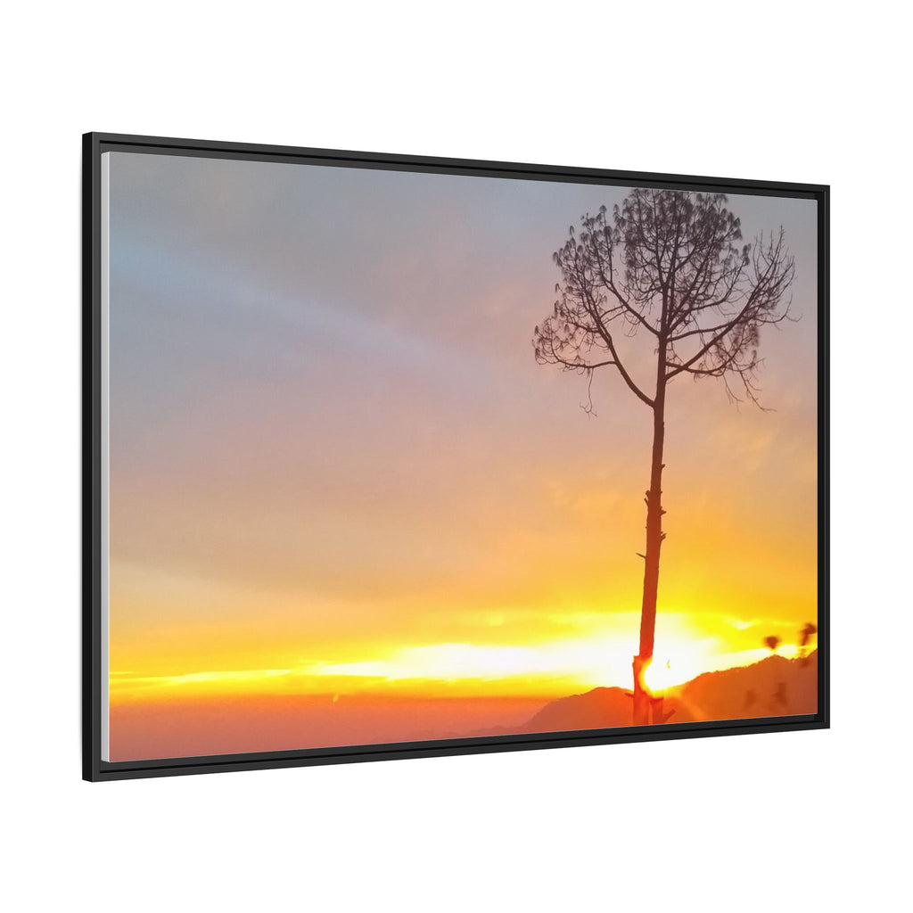'A Root Light'  Framed Canvas Art
