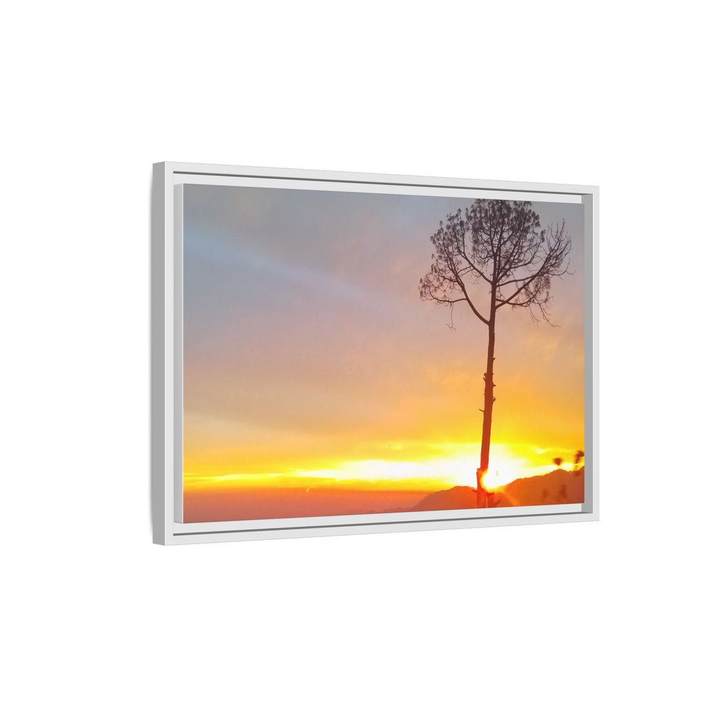 'A Root Light'  Framed Canvas Art