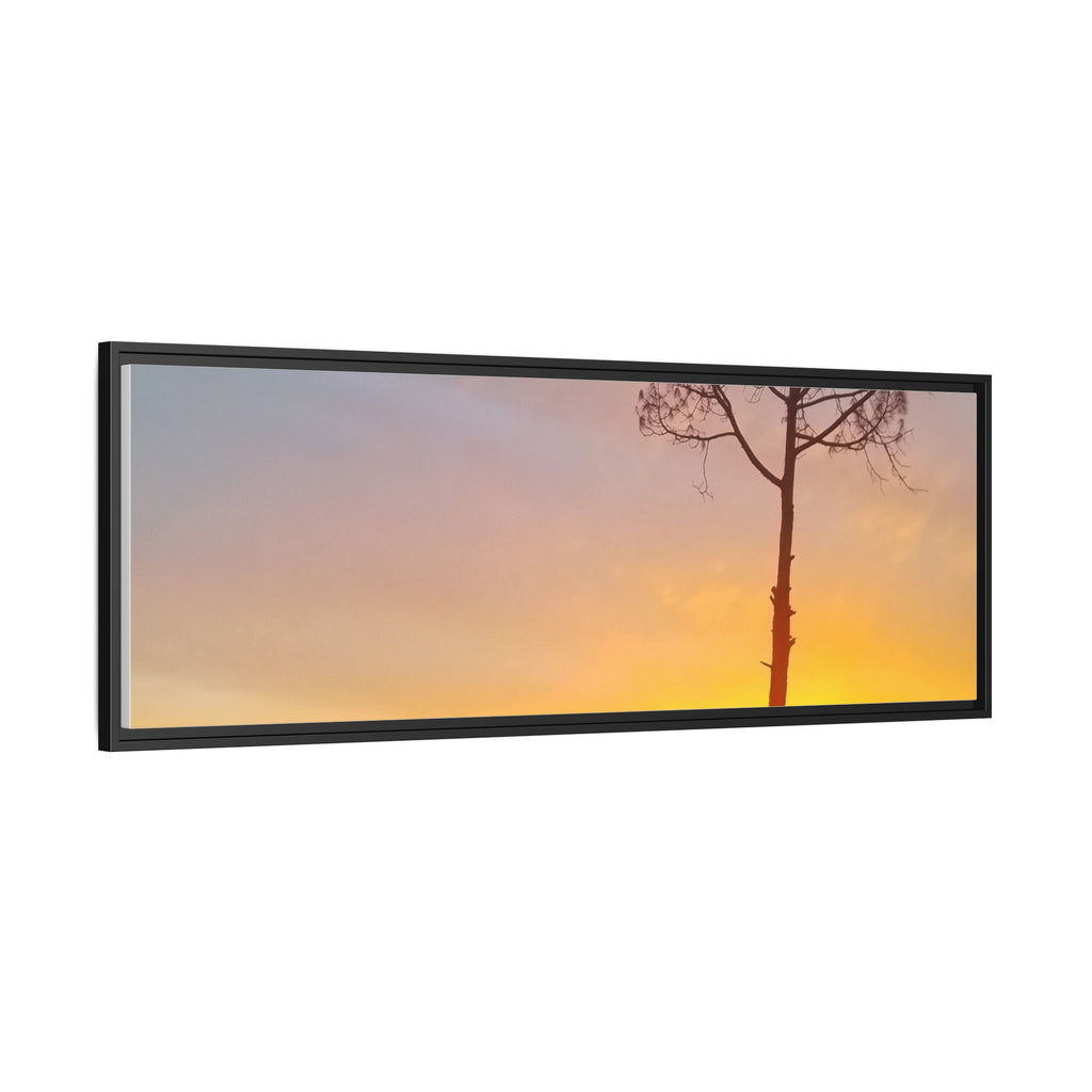 'A Root Light'  Framed Canvas Art