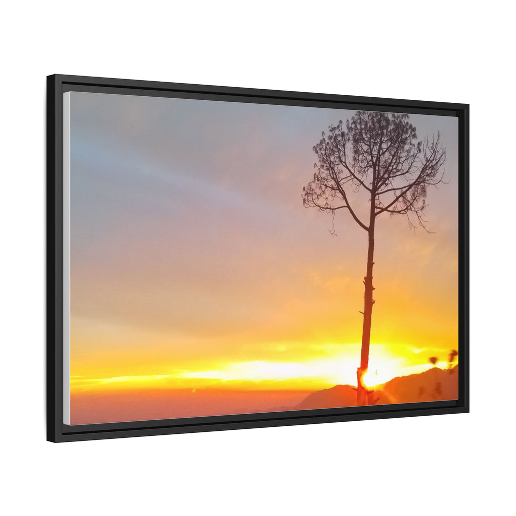 'A Root Light'  Framed Canvas Art