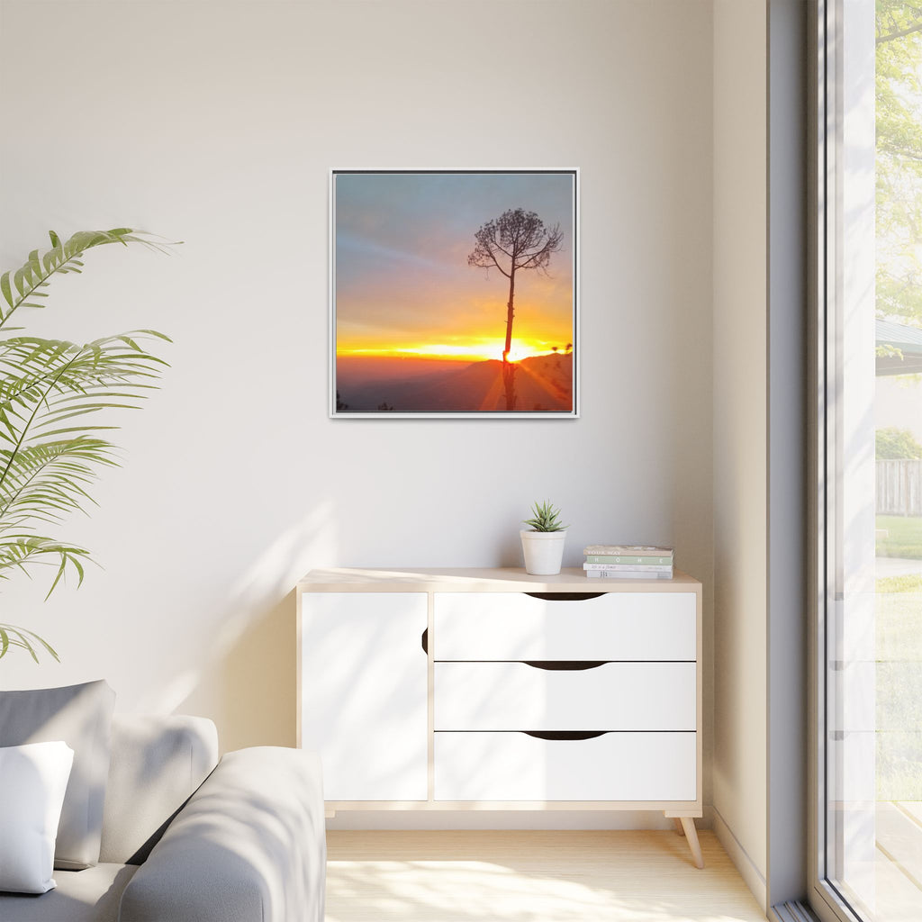 'A Root Light'  Framed Canvas Art