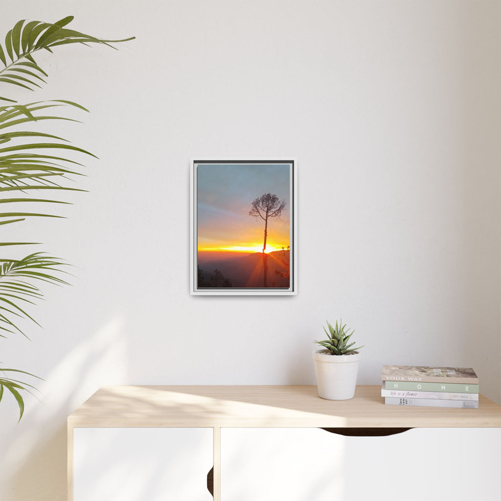 'A Root Light'  Framed Canvas Art