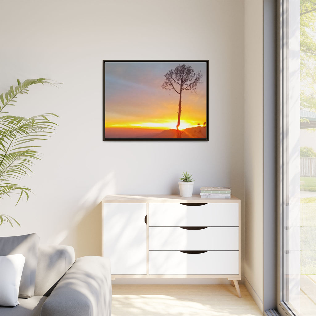 'A Root Light'  Framed Canvas Art