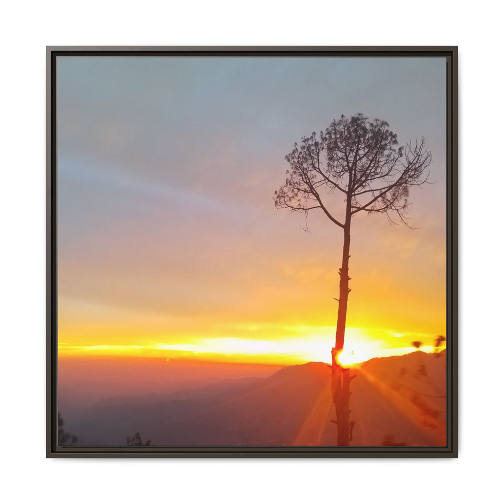 'A Root Light'  Framed Canvas Art