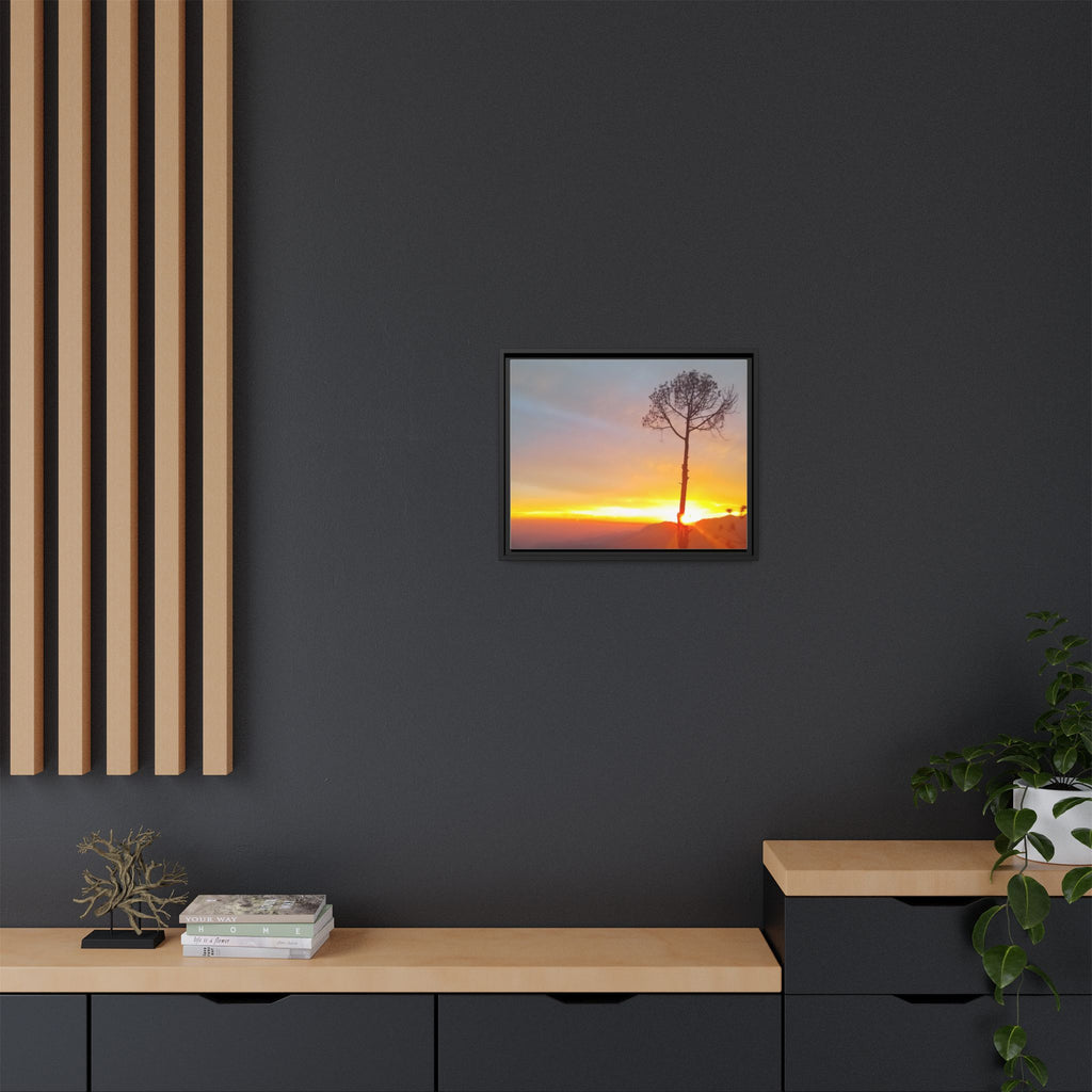 'A Root Light'  Framed Canvas Art
