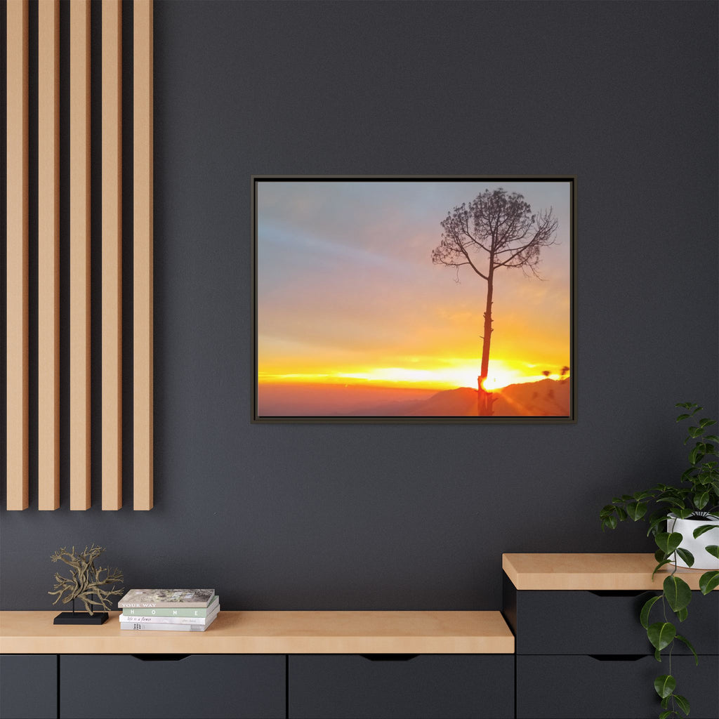 'A Root Light'  Framed Canvas Art