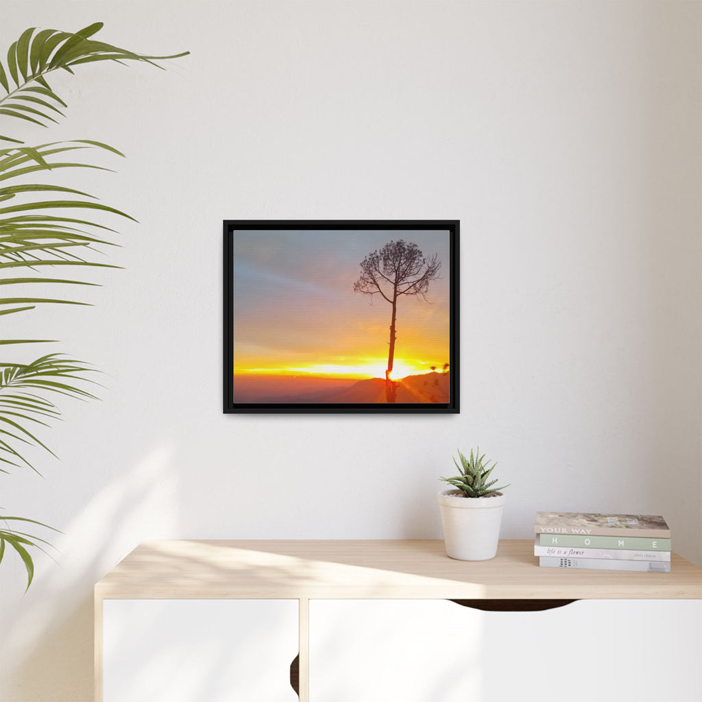 'A Root Light'  Framed Canvas Art