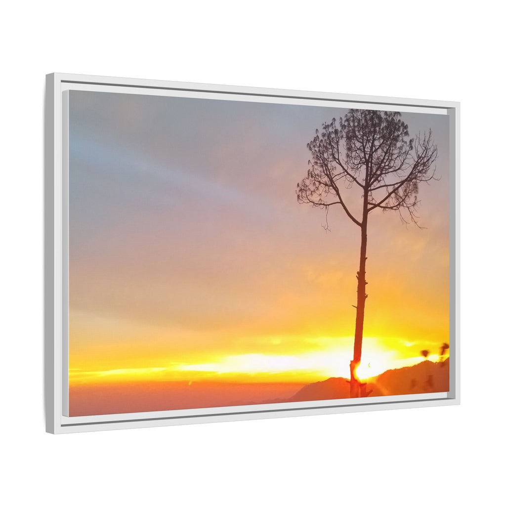 'A Root Light'  Framed Canvas Art
