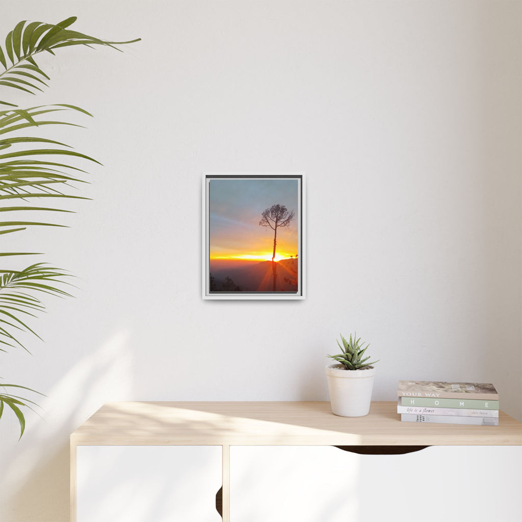 'A Root Light'  Framed Canvas Art