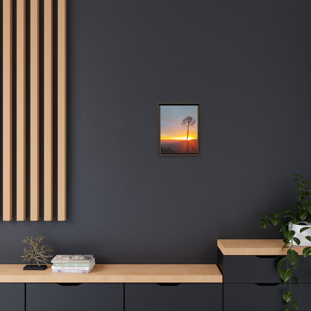 'A Root Light'  Framed Canvas Art