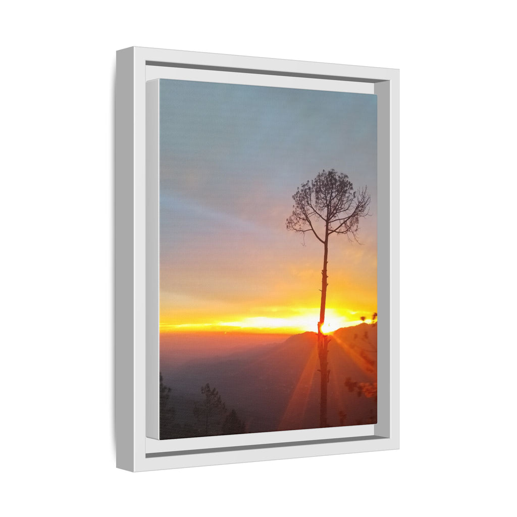 'A Root Light'  Framed Canvas Art