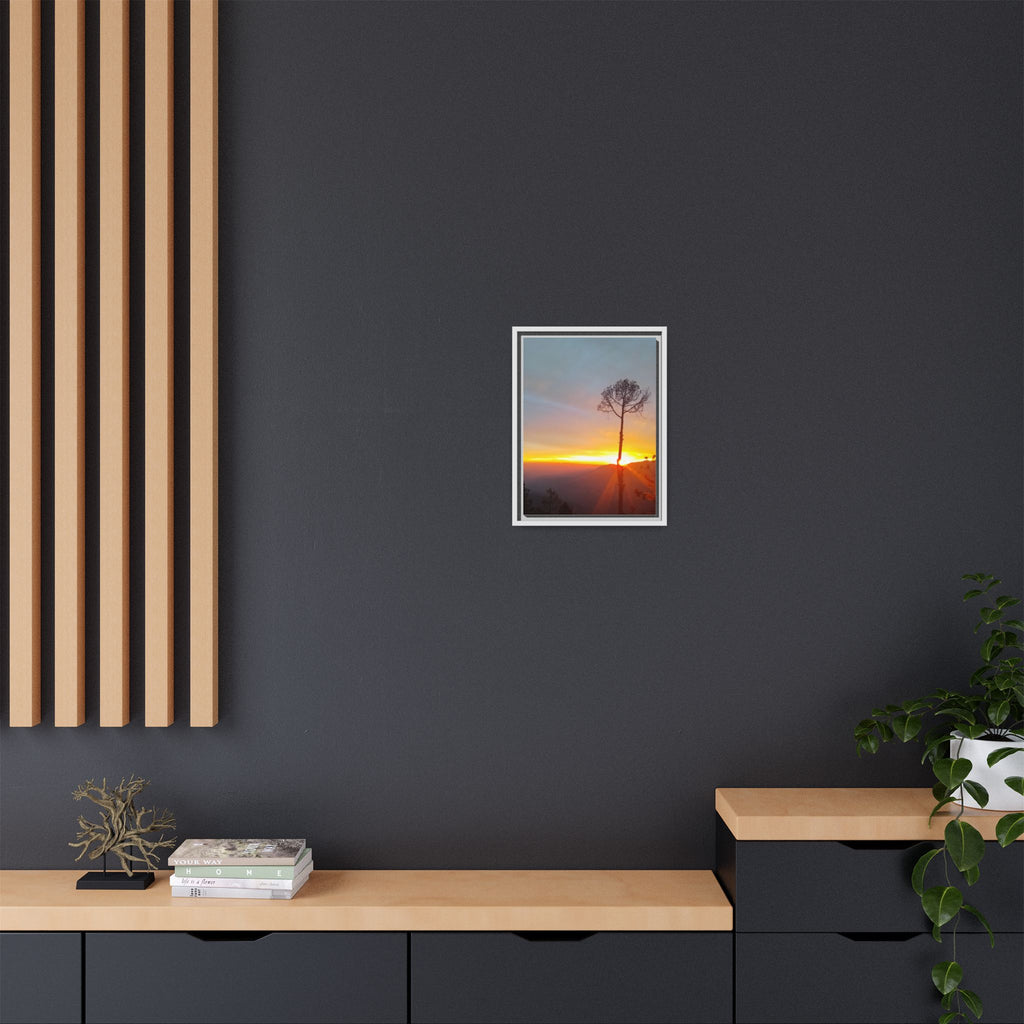 'A Root Light'  Framed Canvas Art